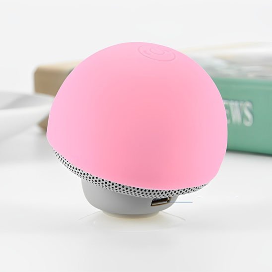 Enceinte bluetooth 
